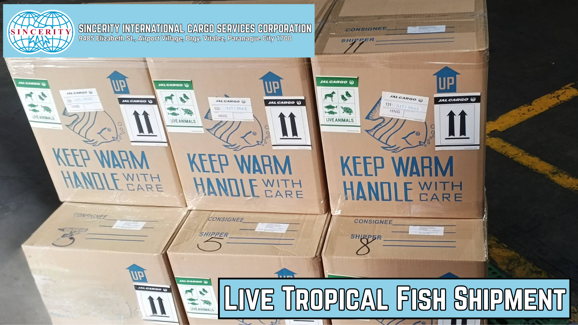 Live tropical fish shipment cargo handling
